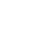 wired-outline-469-flag